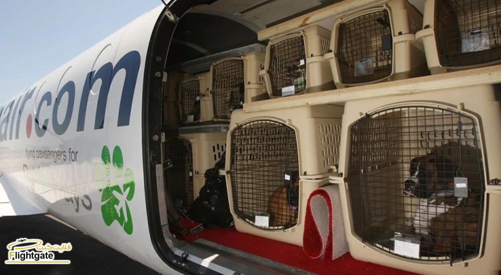 حمل حیوانات خانگی در انبار هواپیما